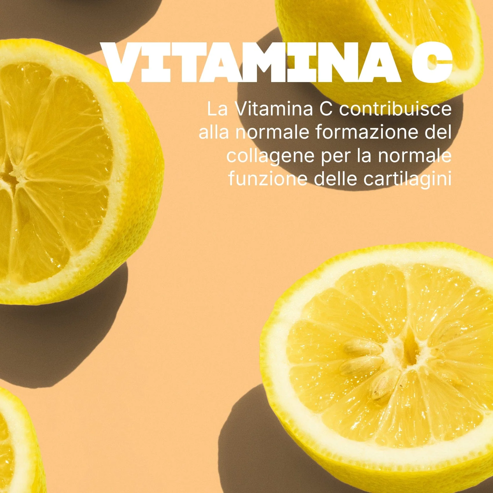 Articolazioni - Image 5