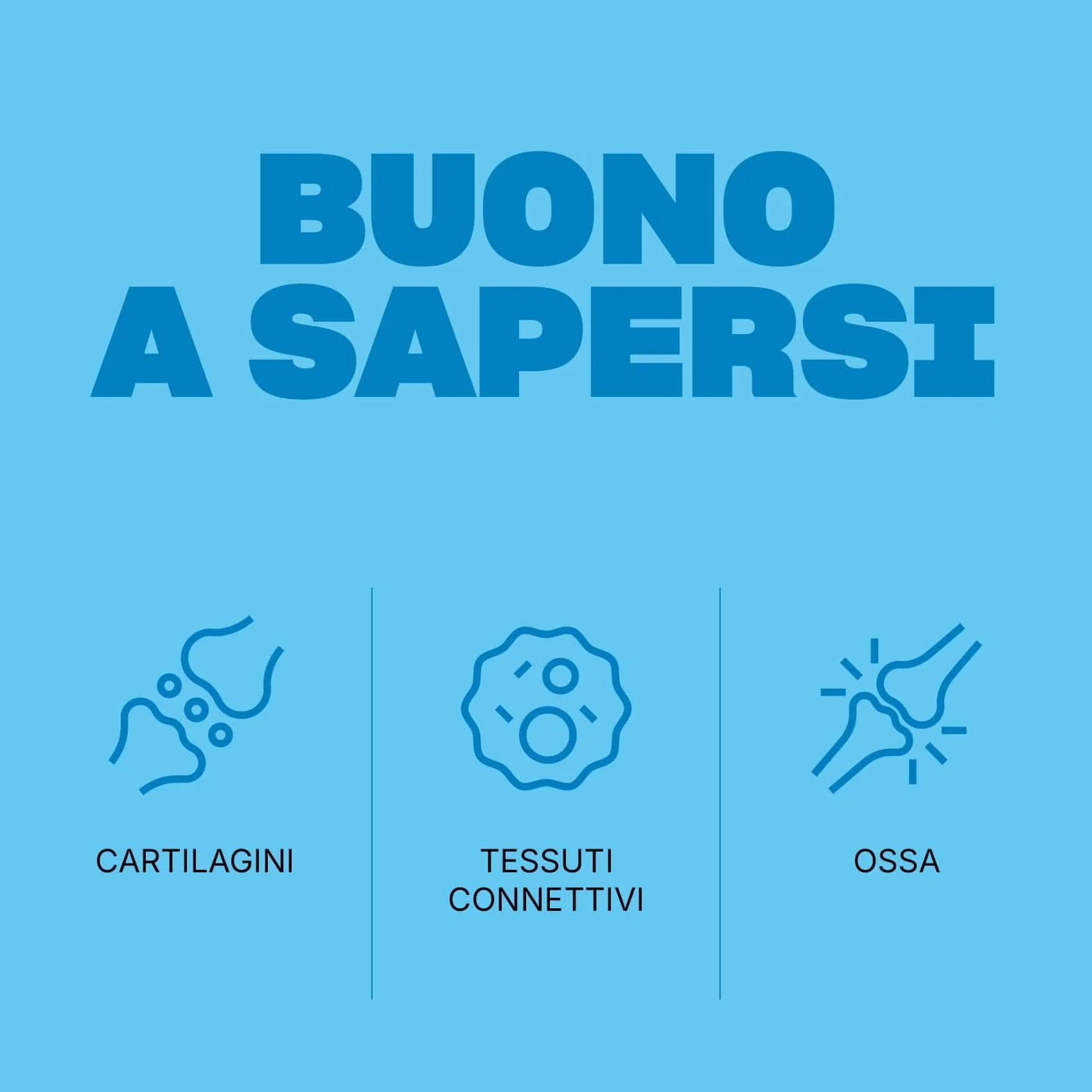 Articolazioni - Image 6