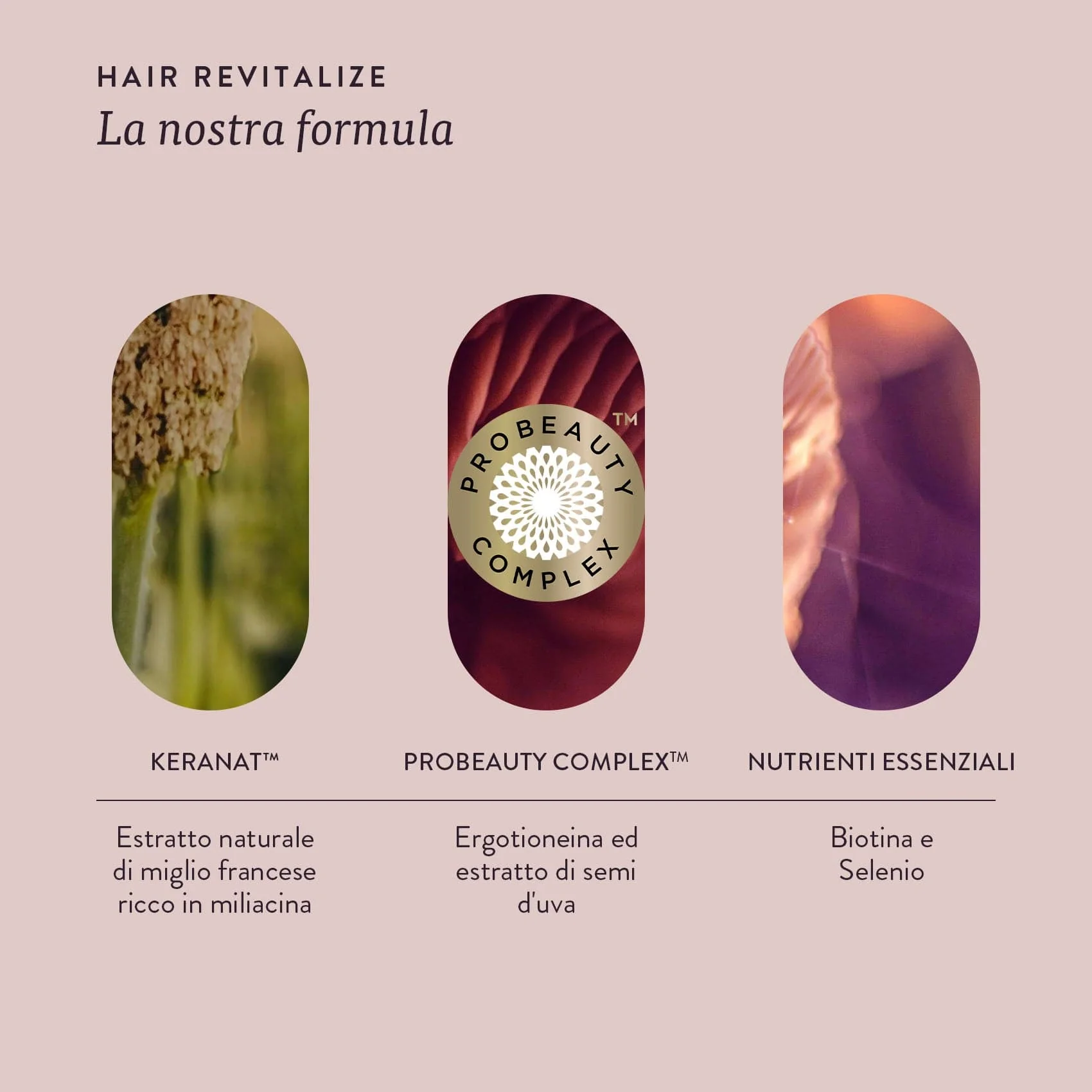 HAIR REVITALIZE - Image 6