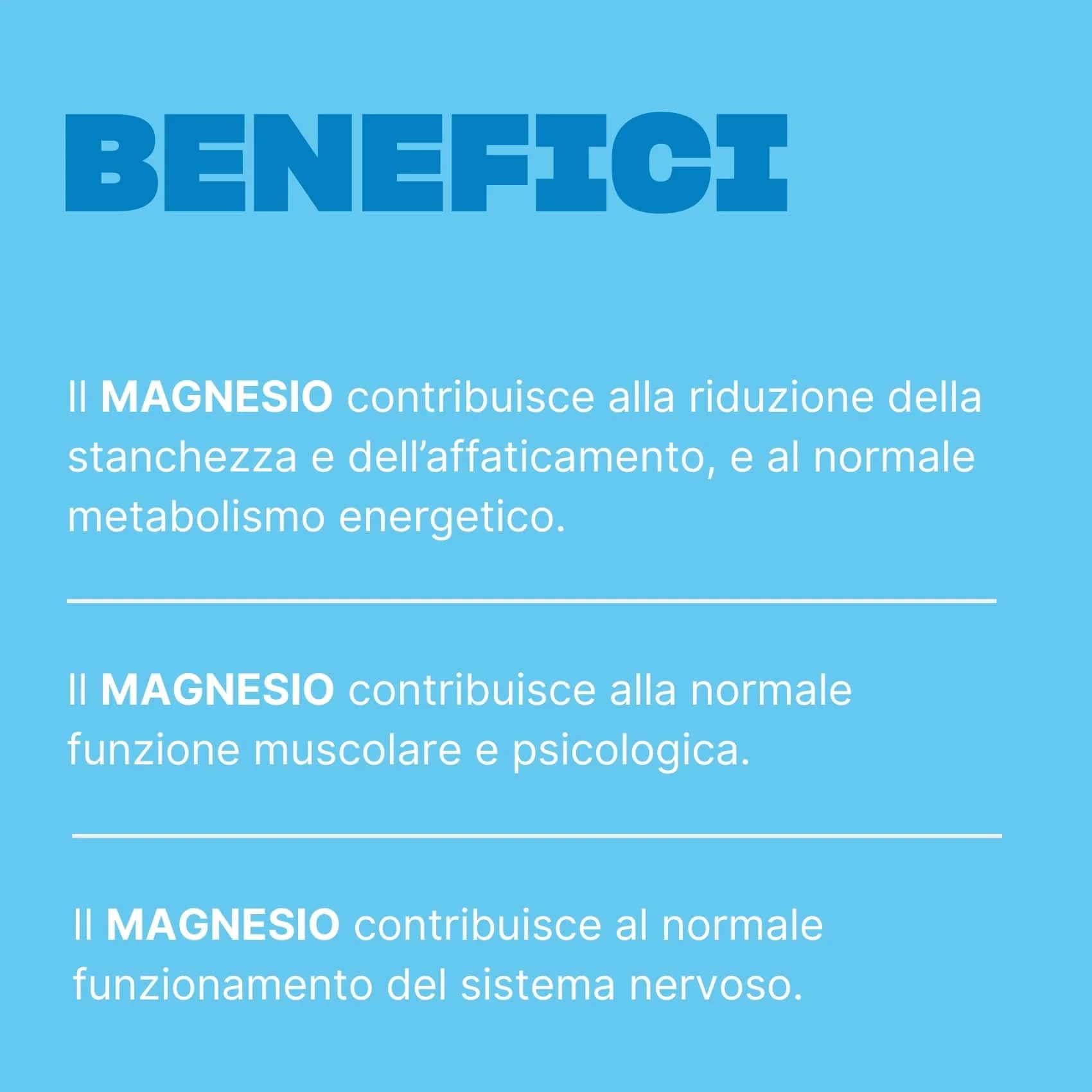 Magnesio Bisglicinato - Image 3