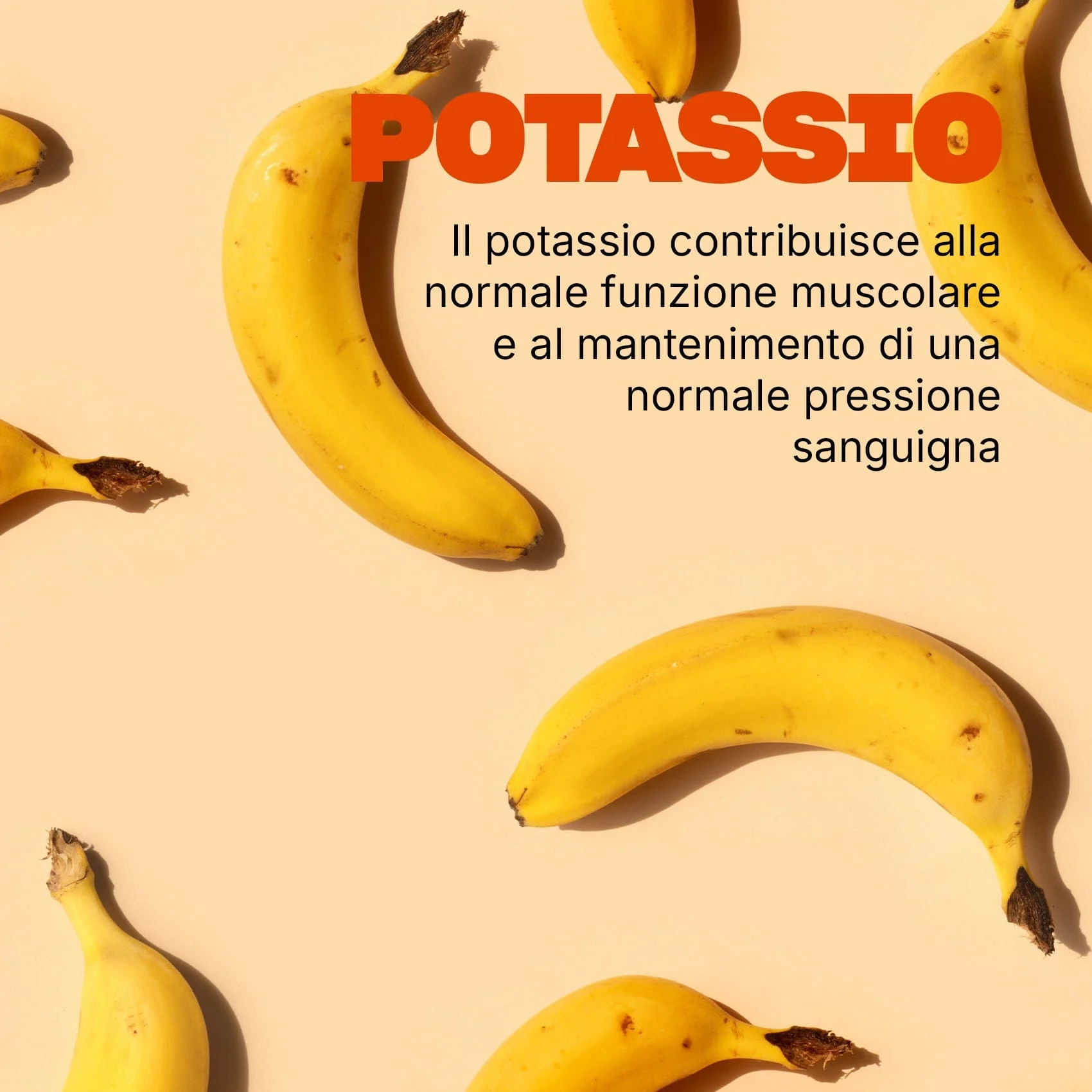 Magnesio e Potassio - Image 5
