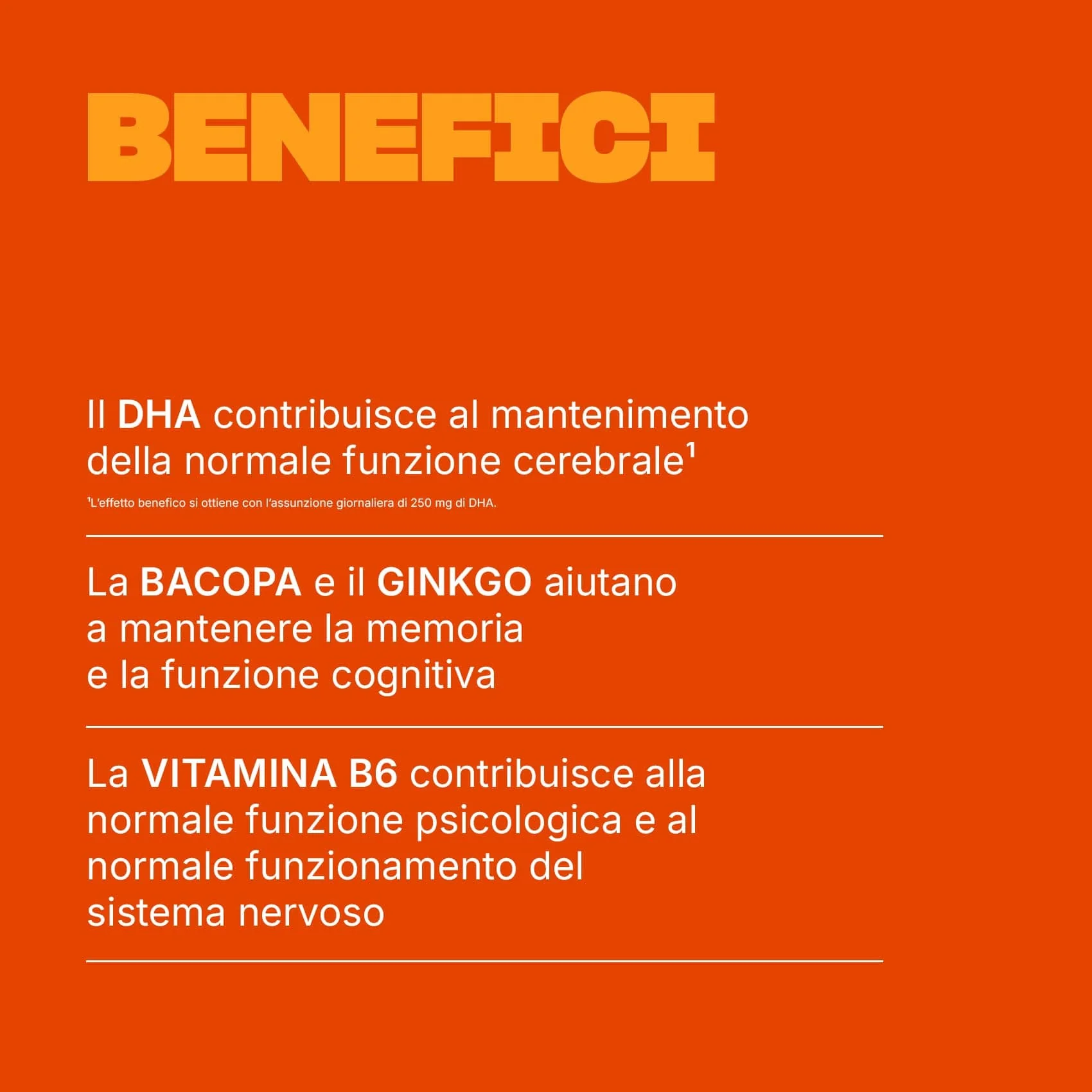 Memoria - Image 3