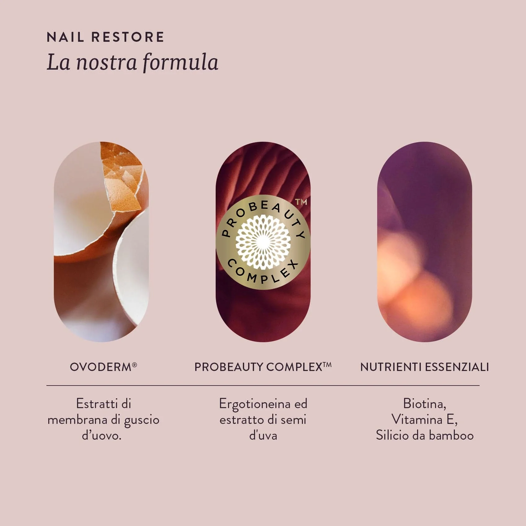 NAIL RESTORE - Image 6