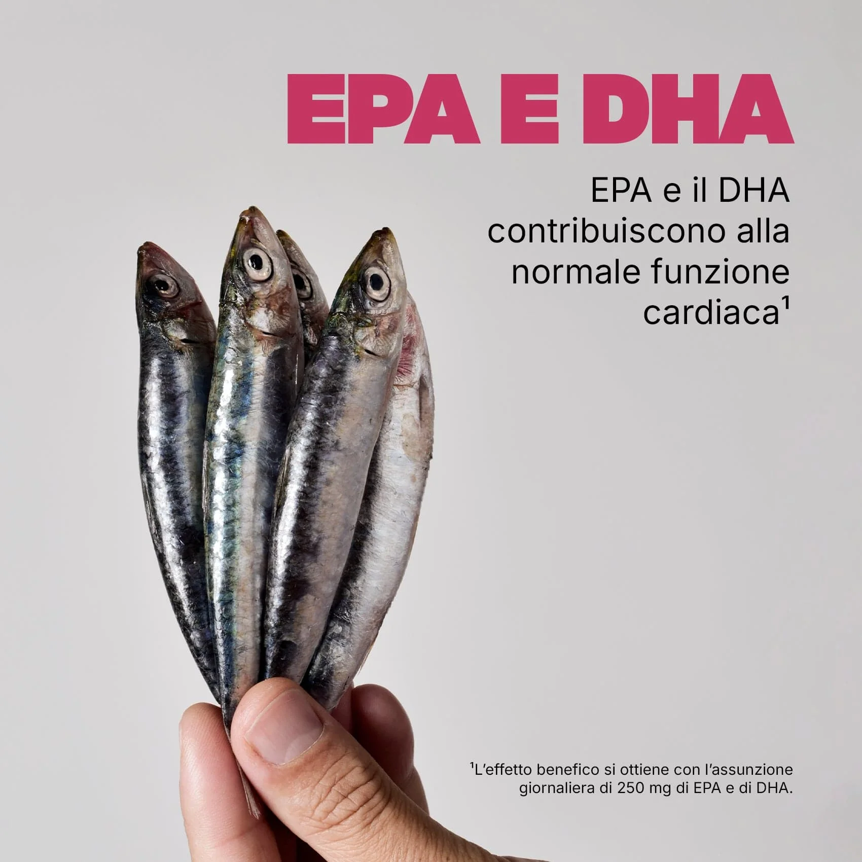 Omega 3 - Image 4