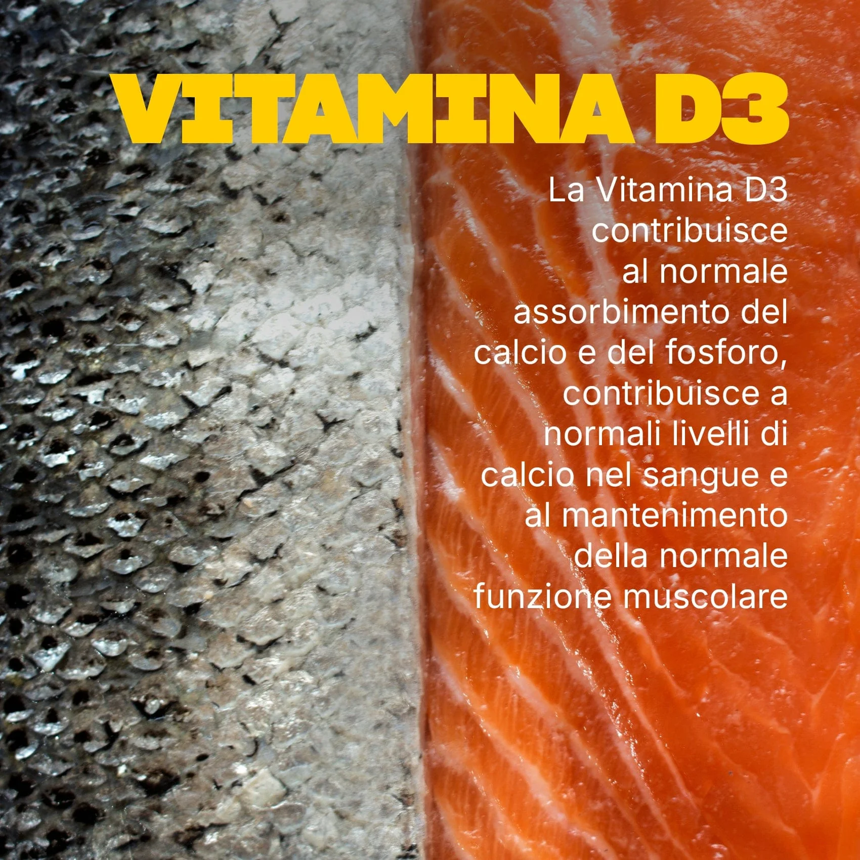 Vitamina D - Image 4
